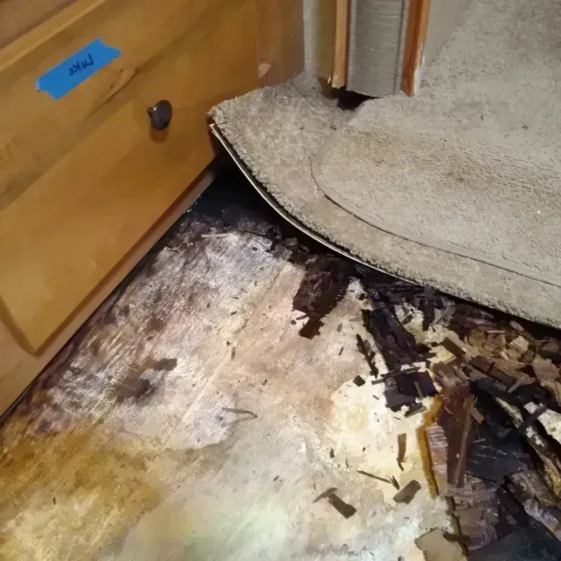 Wood Floor Water Damage in Roman Forest, TX